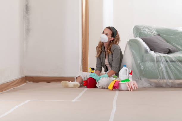 Reliable Mold Cleanup contractor in Cofield, NC by Cheap Mold Removal